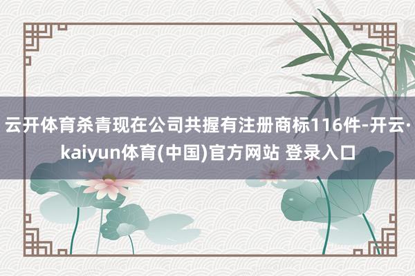 云开体育杀青现在公司共握有注册商标116件-开云·kaiyun体育(中国)官方网站 登录入口